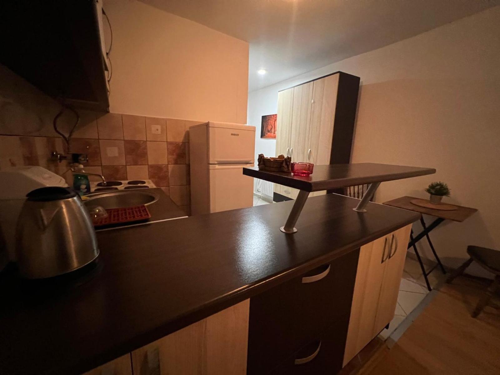 Apartment Sany *